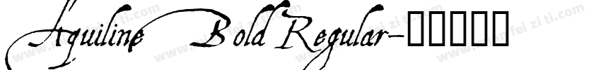 Aquiline Bold Regular字体转换